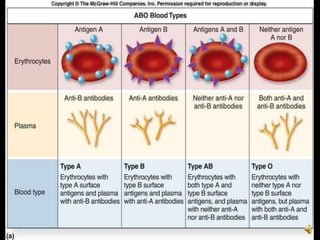 Bloodtransfusion with audio drneerajjain | PPTX