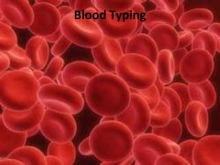 Blood Typing
 