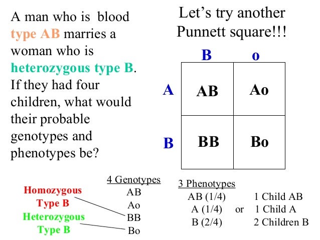 Bloodtypes Bloodtypes