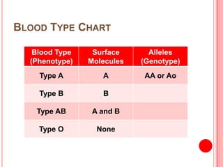 Blood Types | PPTX