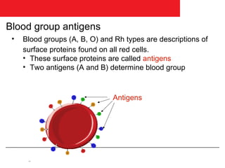 Blood group antigens
 •   Blood groups (A, B, O) and Rh types are descriptions of
     surface proteins found on all red cells.
     • These surface proteins are called antigens
     • Two antigens (A and B) determine blood group



                               Antigens




      TM
 