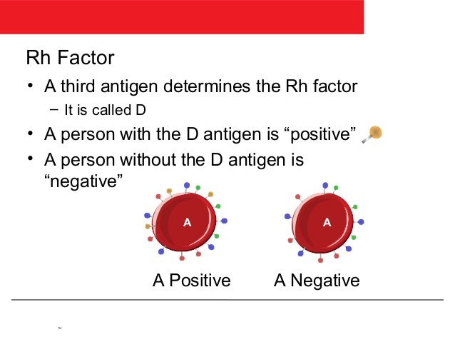 if you have a negative blood type are you rh negative