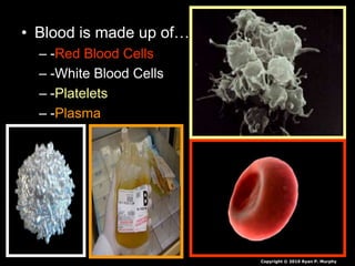 • Blood is made up of…
– -Red Blood Cells
– -White Blood Cells
– -Platelets
– -Plasma
Copyright © 2010 Ryan P. Murphy
 