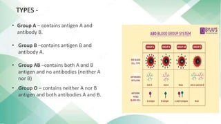 Types -
TYPES -
• Group A – contains antigen A and
antibody B.
• Group B –contains antigen B and
antibody A.
• Group AB –contains both A and B
antigen and no antibodies (neither A
nor B).
• Group O – contains neither A nor B
antigen and both antibodies A and B.
 