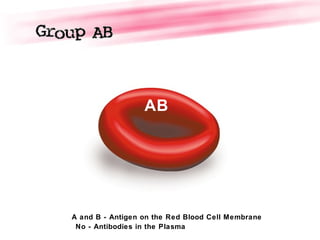 AB
A and B - Antigen on the Red Blood Cell Membrane
No - Antibodies in the Plasma
 