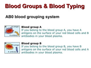 Blood Groups & Blood TypingBlood Groups & Blood Typing
AB0 blood grouping system
Blood group A
If you belong to the blood group A, you have A
antigens on the surface of your red blood cells and B
antibodies in your blood plasma.
Blood group B
If you belong to the blood group B, you have B
antigens on the surface of your red blood cells and A
antibodies in your blood plasma.
 