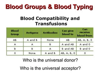 Blood Groups & Blood TypingBlood Groups & Blood Typing
Blood Compatibility and
Transfusions
Who is the universal donor?
Who is the universal acceptor?
 