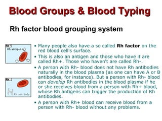 Blood Groups & Blood TypingBlood Groups & Blood Typing
Rh factor blood grouping system
• Many people also have a so called Rh factor on the
red blood cell's surface.
• This is also an antigen and those who have it are
called Rh+. Those who haven't are called Rh-.
• A person with Rh- blood does not have Rh antibodies
naturally in the blood plasma (as one can have A or B
antibodies, for instance). But a person with Rh- blood
can develop Rh antibodies in the blood plasma if he
or she receives blood from a person with Rh+ blood,
whose Rh antigens can trigger the production of Rh
antibodies.
• A person with Rh+ blood can receive blood from a
person with Rh- blood without any problems.
 