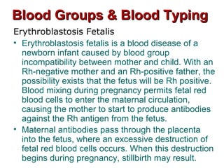 Blood Groups & Blood TypingBlood Groups & Blood Typing
Erythroblastosis Fetalis
• Erythroblastosis fetalis is a blood disease of a
newborn infant caused by blood group
incompatibility between mother and child. With an
Rh-negative mother and an Rh-positive father, the
possibility exists that the fetus will be Rh positive.
Blood mixing during pregnancy permits fetal red
blood cells to enter the maternal circulation,
causing the mother to start to produce antibodies
against the Rh antigen from the fetus.
• Maternal antibodies pass through the placenta
into the fetus, where an excessive destruction of
fetal red blood cells occurs. When this destruction
begins during pregnancy, stillbirth may result.
 