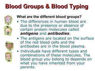 Blood Groups & Blood TypingBlood Groups & Blood Typing
What are the different blood groups?
• The differences in human blood are
due to the presence or absence of
certain protein molecules called
antigens and antibodies.
• The antigens are located on the surface
of the red blood cells and the
antibodies are in the blood plasma.
• Individuals have different types and
combinations of these molecules. The
blood group you belong to depends on
what you have inherited from your
parents.
 