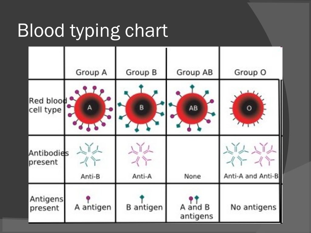 blood typing blood typing chart