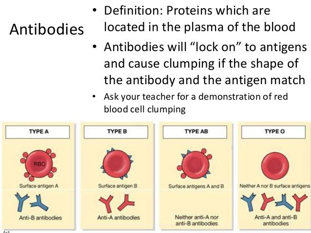 Blood Type Antigens And Antibodies Chart