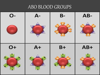 ABO BLOOD GROUPS
 