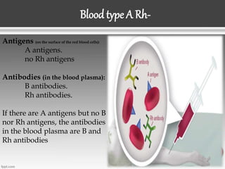 Blood type A Rh-
Antigens (on the surface of the red blood cells):
A antigens.
no Rh antigens
Antibodies (in the blood plasma):
B antibodies.
Rh antibodies.
If there are A antigens but no B
nor Rh antigens, the antibodies
in the blood plasma are B and
Rh antibodies
 