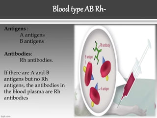 Blood type AB Rh-
Antigens :
A antigens
B antigens
Antibodies:
Rh antibodies.
If there are A and B
antigens but no Rh
antigens, the antibodies in
the blood plasma are Rh
antibodies
 