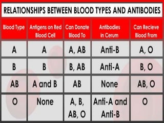 Blood typing