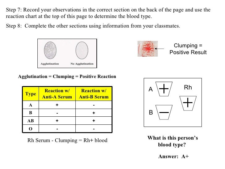 Bloodtypinglab2 2