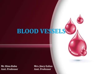 BLOOD VESSELS
 