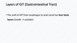 Comprehensive Overview of Blood Vessels and Gastrointestinal Tract ...