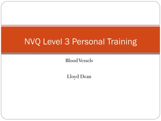 Blood Vessels Lloyd Dean NVQ Level 3 Personal Training 