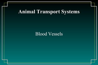 Animal Transport Systems ,[object Object]
