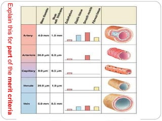 Explain this for part of the merit criteria

 
