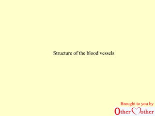 Structure of the blood vessels 
Brought to you by 
 