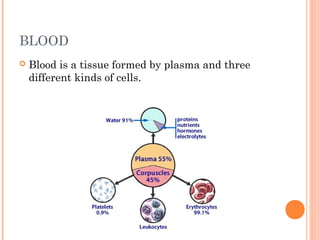BLOOD
 Blood is a tissue formed by plasma and three
different kinds of cells.
 
