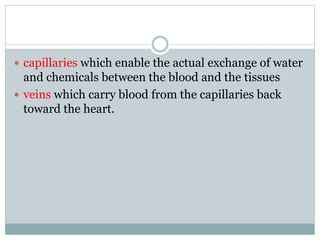  capillaries which enable the actual exchange of water
and chemicals between the blood and the tissues
 veins which carry blood from the capillaries back
toward the heart.
 