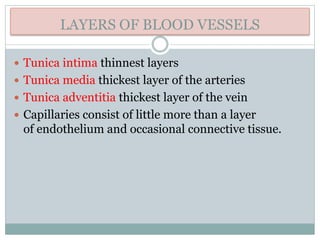 LAYERS OF BLOOD VESSELS
 Tunica intima thinnest layers
 Tunica media thickest layer of the arteries
 Tunica adventitia thickest layer of the vein
 Capillaries consist of little more than a layer
of endothelium and occasional connective tissue.
 