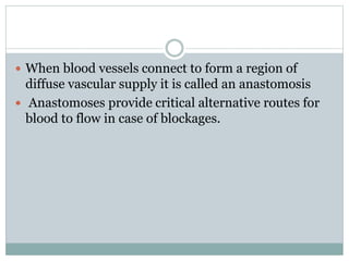  When blood vessels connect to form a region of
diffuse vascular supply it is called an anastomosis
 Anastomoses provide critical alternative routes for
blood to flow in case of blockages.
 