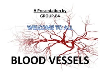A Presentation by
GROUP-B4
BLOOD VESSELS
 