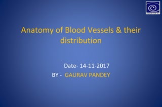Anatomy of Blood Vessels & their
distribution
Date- 14-11-2017
BY - GAURAV PANDEY
 