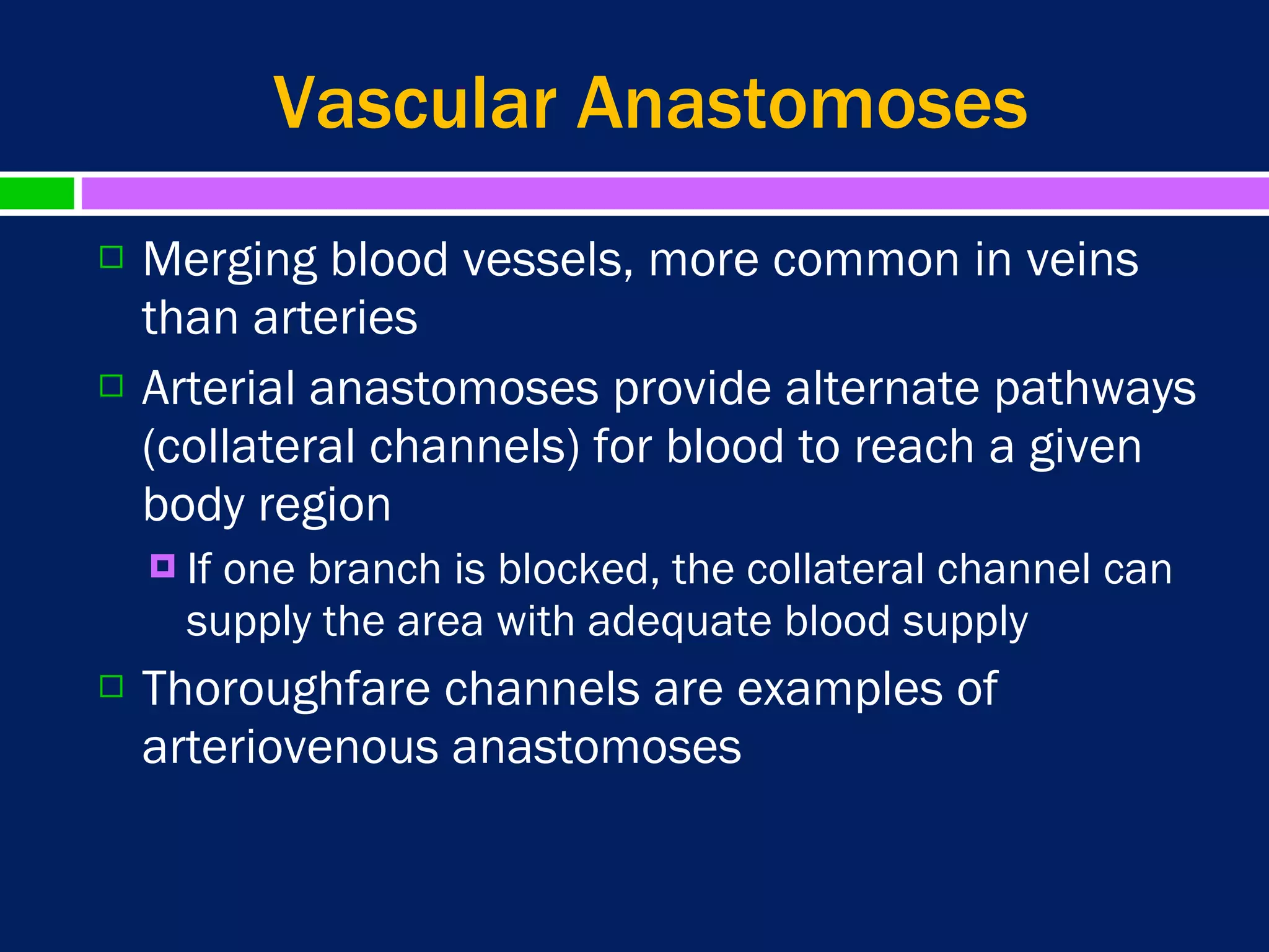 Blood vessels.2. | PPT