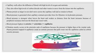 o Capillary walls allow the diffusion of blood with high levels of oxygen and nutrients.
o They also allow high levels of carbon dioxide and other wastes to move from the tissues into the capillaries.
o Plasma protein as larger in size don't move across the capillary wall and so remain in blood.
o Blood pressure is generated when capillary contracts provides force for filtration via hydrostatic pressure.
o Blood pressure is strongest when leaves the heart and weaker as distance from the heart increases because of
peripheral resistance between the blood and vessel walls.
o Blood pressure highest in arteries >> arterioles >> capillaries
Filtration mostly occurs at the arteriolar ends of capillaries because the pressure is higher than at the venular ends.
Plasma proteins trapped in capillaries create an osmotic pressure that pulls water into the capillaries called as colloid
osmotic pressure.
 