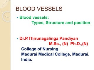 BLOOD VESSELS
 Blood vessels:
Types, Structure and position
 Dr.P.Thirunagalinga Pandiyan
M.Sc., (N) Ph.D.,(N)
College of Nursing
Madurai Medical College, Madurai.
India.
 
