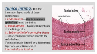 BLOOD VESSELS BY DR. JEANEE THONGRAM SMCH ASSAM | PPTX