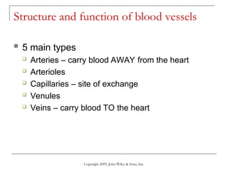 Comprehensive Overview of Blood Vessel Structure and Function in Human ...