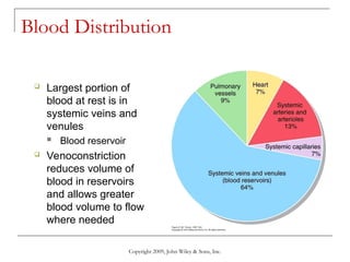 Comprehensive Overview of Blood Vessel Structure and Function in Human ...