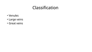 Veines Classification Comprehensive Overview of Blood Vessels: Structure, Types, and ...
