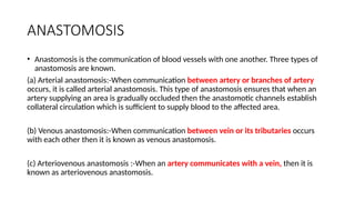 Comprehensive Overview of Human Blood Vessels and Circulatory System ...