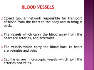 ❑ Closed tubular network responsible for transport
of blood from the heart to the body and to bring it
back.
❑ The vessels which carry the blood away from the
heart are arteries, and arterioles.
❑ The vessels which carry the blood back to heart
are veinules and vein.
❑ Capillaries are microscopic vessels which join the
arteries and veins.
 