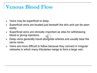 Blood Injection Name Blood Vessels (1).ppt