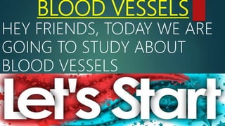 BLOOD VESSELS
HEY FRIENDS, TODAY WE ARE
GOING TO STUDY ABOUT
BLOOD VESSELS
 