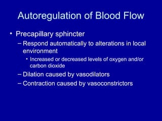 Autoregulation of Blood Flow
• Precapillary sphincter
  – Respond automatically to alterations in local
    environment
     • Increased or decreased levels of oxygen and/or
       carbon dioxide
  – Dilation caused by vasodilators
  – Contraction caused by vasoconstrictors
 
