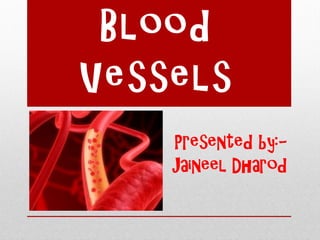 Blood
Vessels
Presented by:-
Jaineel Dharod
 