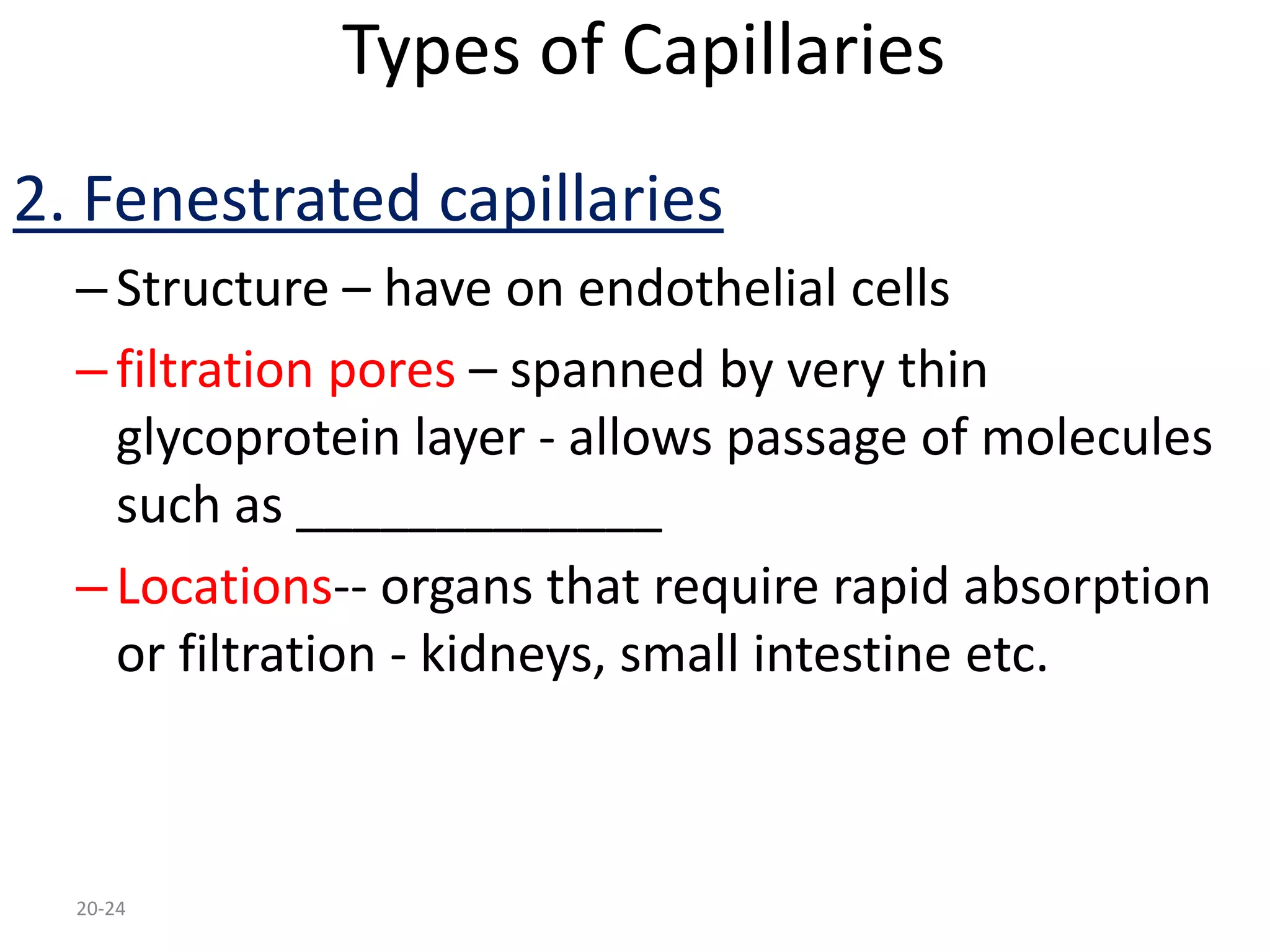 Blood vessels and circulatory system | PPTX