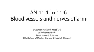 AN 11.1 to 11.6
Blood vessels and nerves of arm
Dr. Suresh Managutti MBBS MD
Associate Professor
Department of Anatomy
SDM College of Medical Sciences & Hospital, Dharwad
 