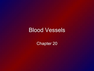 Chapter 20 | PPT