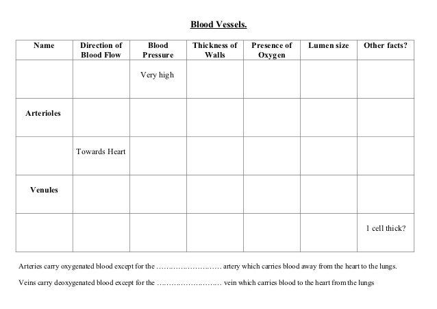 Blood Vessels Comparision Table